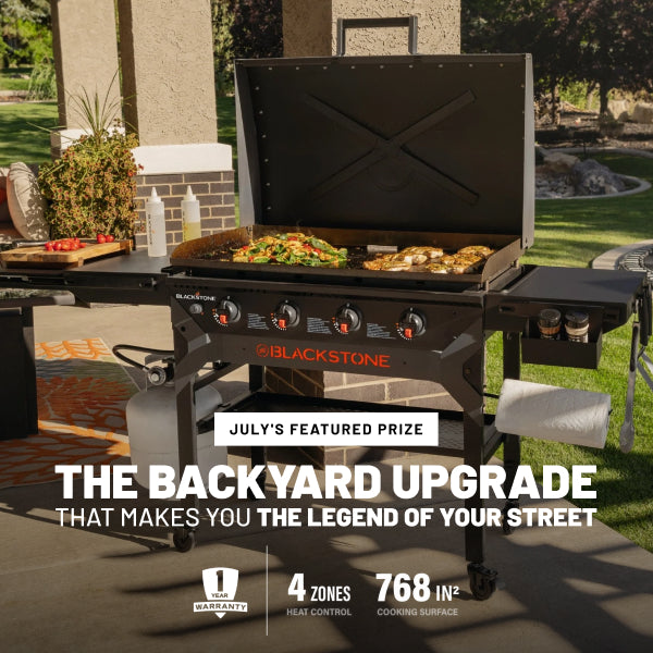 The Backyard Upgrade That Makes You the Legend of Your Street