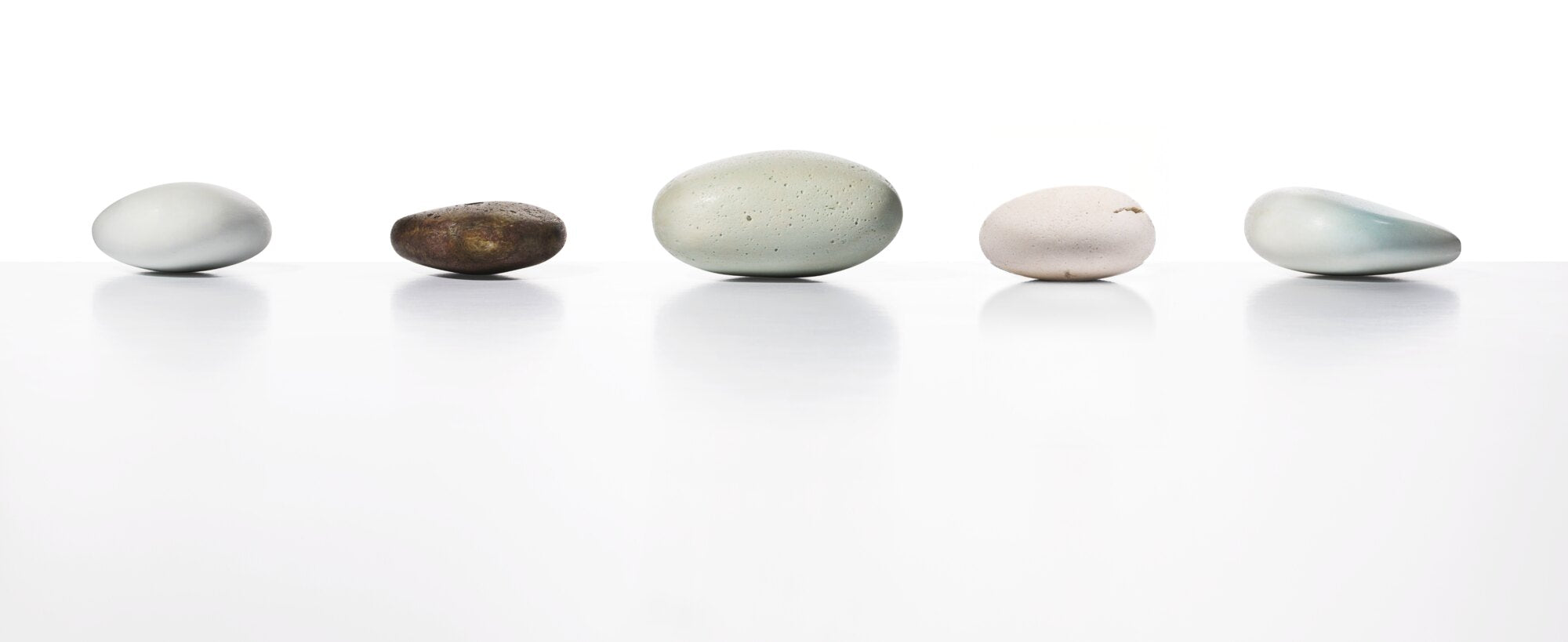 Solidified remains stones